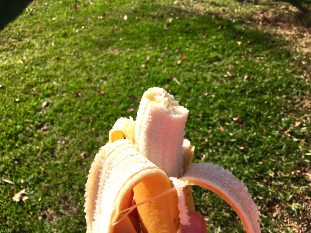 Banana vegan snack